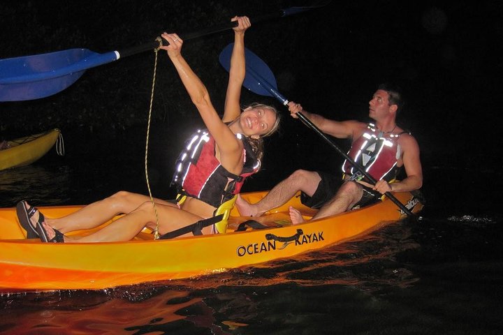 Explore as cascatas da floresta tropical El Yunque e reme pela baía bioluminescente de Fajardo num tour de um dia em Porto Rico, foto 12 | wizardtrip