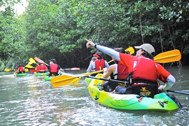 Explore as cascatas da floresta tropical El Yunque e reme pela baía bioluminescente de Fajardo num tour de um dia em Porto Rico, foto 14 | wizardtrip