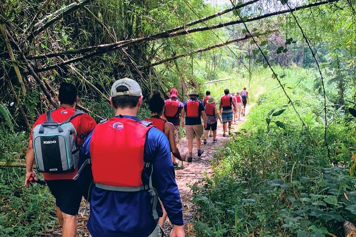 Explore as cascatas da floresta tropical El Yunque e reme pela baía bioluminescente de Fajardo num tour de um dia em Porto Rico, foto 16 | wizardtrip