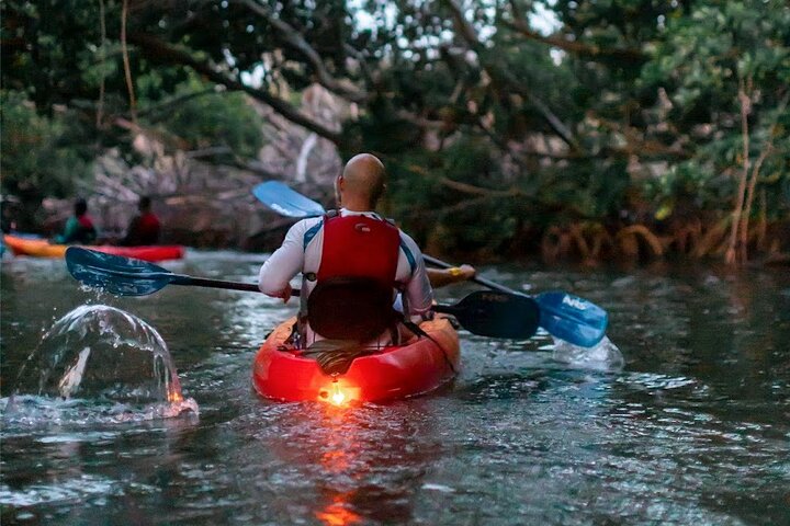 Explore as cascatas da floresta tropical El Yunque e reme pela baía bioluminescente de Fajardo num tour de um dia em Porto Rico, foto 20 | wizardtrip