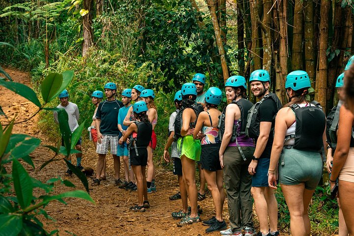 Explore as cascatas da floresta tropical El Yunque e reme pela baía bioluminescente de Fajardo num tour de um dia em Porto Rico, foto 22 | wizardtrip