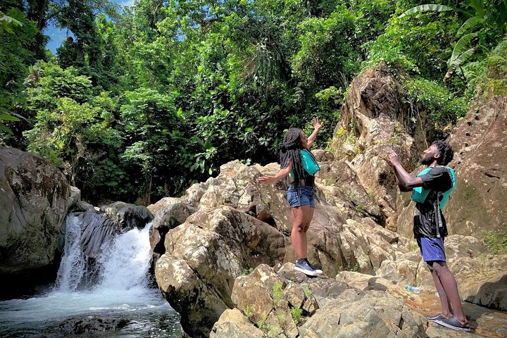 Explore as cascatas da floresta tropical El Yunque e reme pela baía bioluminescente de Fajardo num tour de um dia em Porto Rico, foto 23 | wizardtrip