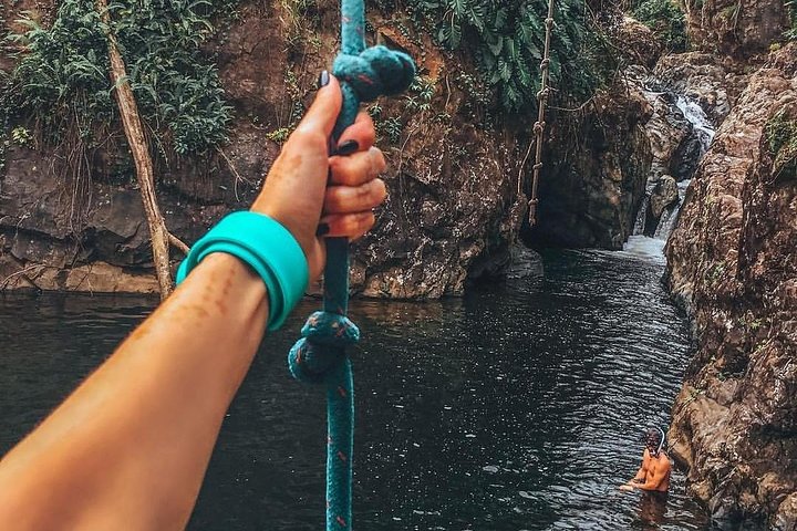 Explore as cascatas da floresta tropical El Yunque e reme pela baía bioluminescente de Fajardo num tour de um dia em Porto Rico, foto 26 | wizardtrip