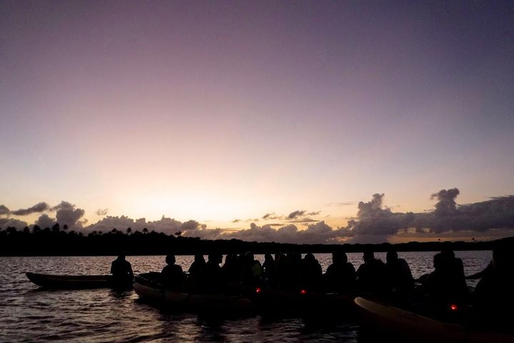 Explore as cascatas da floresta tropical El Yunque e reme pela baía bioluminescente de Fajardo num tour de um dia em Porto Rico, foto 36 | wizardtrip