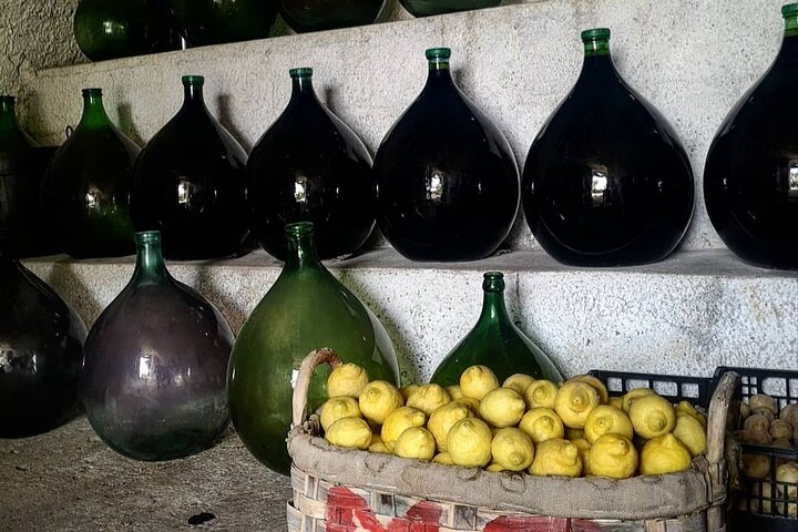Experiência de gastronomia e vinhos da quinta para a mesa em Sorrento, Itália, foto 7 | wizardtrip