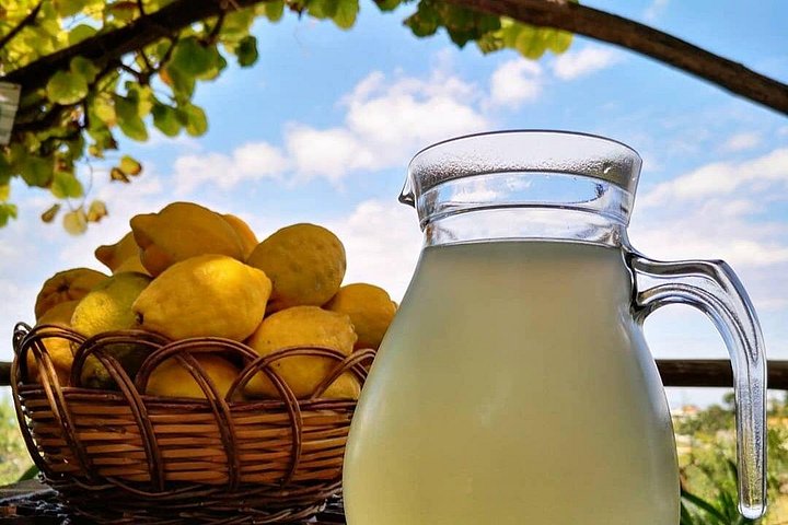 Experiência de gastronomia e vinhos da quinta para a mesa em Sorrento, Itália, foto 12 | wizardtrip