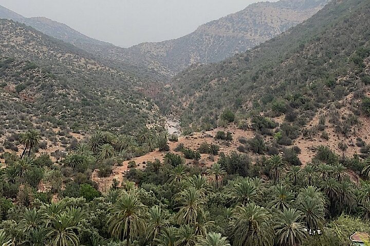 Begeleide tour naar Paradise Valley nabij Agadir, Marokko, met natuurlijke poelen en berglandschappen, foto 6 | wizardtrip