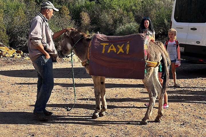Begeleide tour naar Paradise Valley nabij Agadir, Marokko, met natuurlijke poelen en berglandschappen, foto 15 | wizardtrip