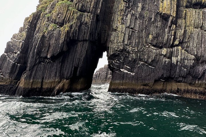 Spännande RIB-båttur längs Dingle kust, se djurliv och utforska havsgrottor, foto 7 | wizardtrip