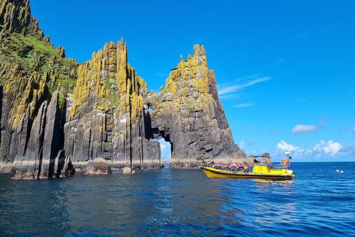 Spännande RIB-båttur längs Dingle kust, se djurliv och utforska havsgrottor, foto 9 | wizardtrip