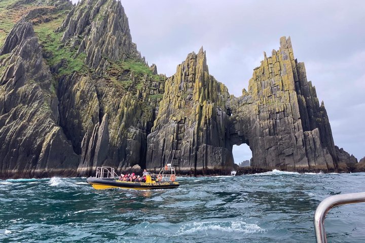 Spännande RIB-båttur längs Dingle kust, se djurliv och utforska havsgrottor, foto 15 | wizardtrip