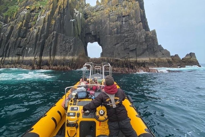 Spännande RIB-båttur längs Dingle kust, se djurliv och utforska havsgrottor, foto 18 | wizardtrip