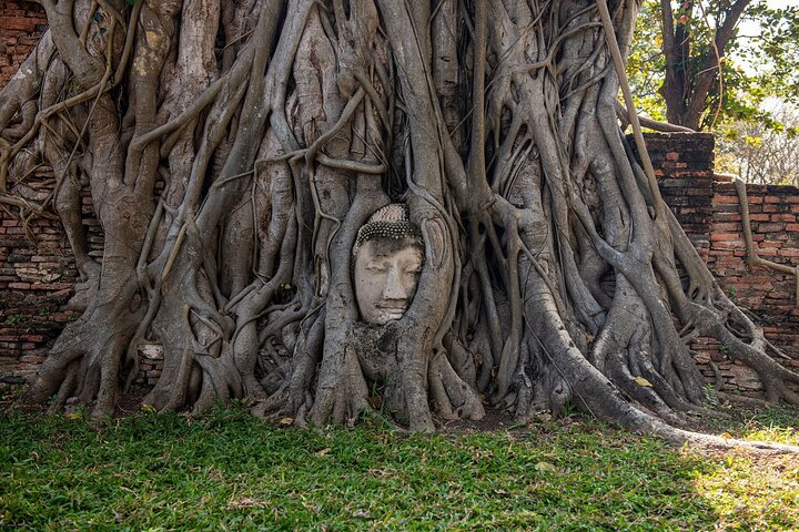 Erkunden Sie die historischen Wunder von Ayutthaya, Thailand, einschließlich alter Tempel und königlicher Paläste, Foto 12 | wizardtrip