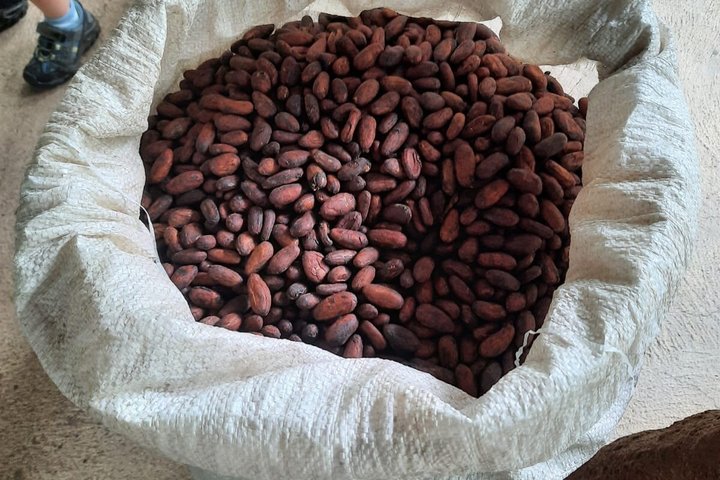 Ervaar een chocoladeboerderijtour in La Fortuna, Costa Rica, met cacao, fruit en specerijen, foto 15 | wizardtrip