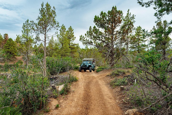 Opplev en spennende Jeep-tur ved solnedgang i Zion nasjonalpark, USA, med fantastisk klippeutsikt, foto 12 | wizardtrip