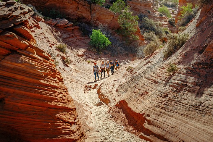 Oplev spændende canyoning med rapelling i slot-canyons i East Zion, Utah, foto 26 | wizardtrip