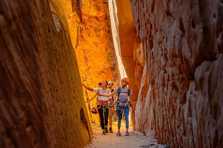 Oplev spændende canyoning med rapelling i slot-canyons i East Zion, Utah, foto 29 | wizardtrip