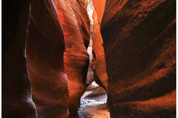 Oplev en spændende UTV-tur og vandretur gennem Zions slot canyons med ekspertguider, foto 7 | wizardtrip
