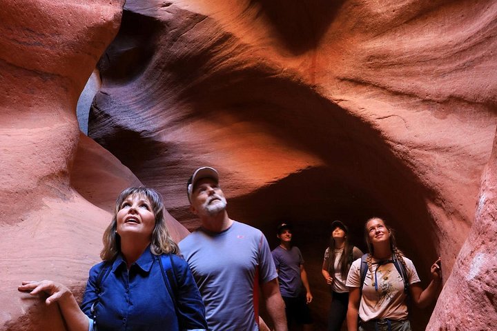 Oplev en spændende UTV-tur og vandretur gennem Zions slot canyons med ekspertguider, foto 8 | wizardtrip