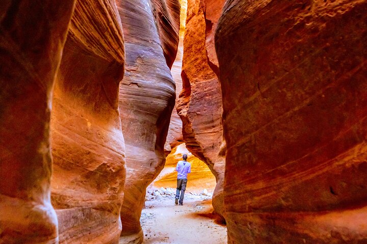 Oplev en spændende UTV-tur og vandretur gennem Zions slot canyons med ekspertguider, foto 10 | wizardtrip