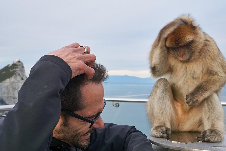 Gibraltar | wizardtrip