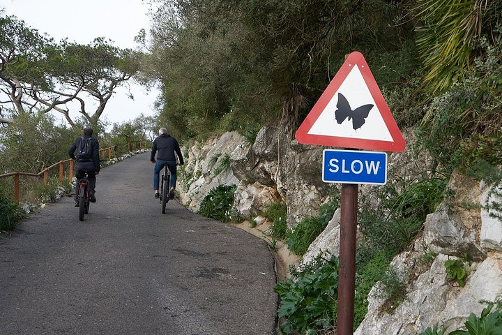Utforska Gibraltars fantastiska landskap och historiska platser på en guidad eBike-tur, foto 11 | wizardtrip