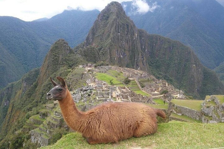 Machu Picchu Dagtocht vanuit Cusco – Volledige Dag Tour | wizardtrip