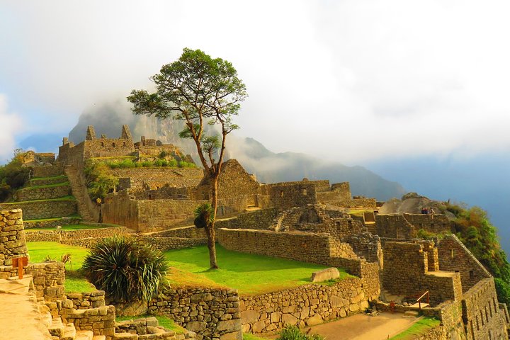Tour de día completo a Machu Picchu desde Cusco, con viajes panorámicos en tren y exploración guiada de la ciudadela inca, foto 8 | wizardtrip