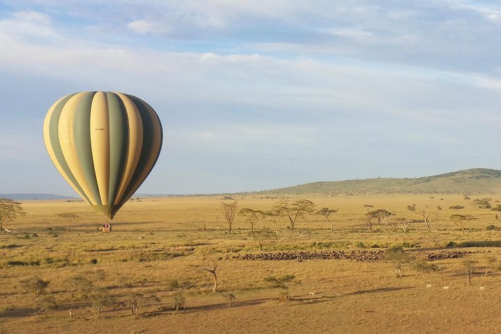 Serengeti | wizardtrip