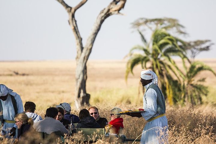 Mongolfiera che fluttua sulle pianure del Serengeti all'alba con fauna selvatica visibile sottostante, foto 6 | wizardtrip