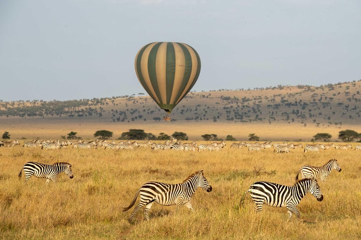 Mongolfiera che fluttua sulle pianure del Serengeti all'alba con fauna selvatica visibile sottostante, foto 8 | wizardtrip