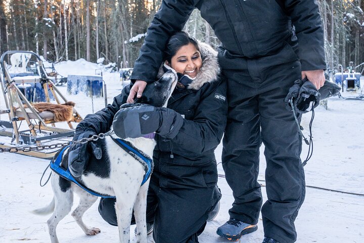 Experience dogsledding and reindeer encounters in the Alaskan wilderness near Fairbanks, photo 8 | wizardtrip