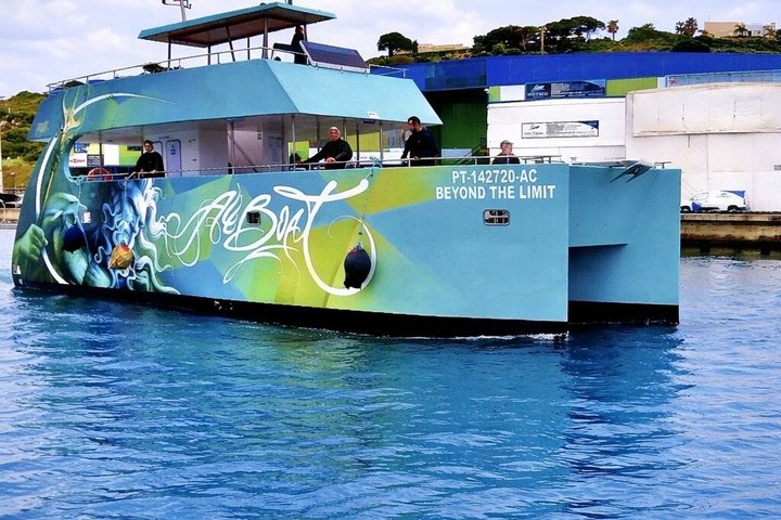 Passeio de barco de Albufeira para ver golfinhos e explorar as grutas de Benagil, foto 6 | wizardtrip