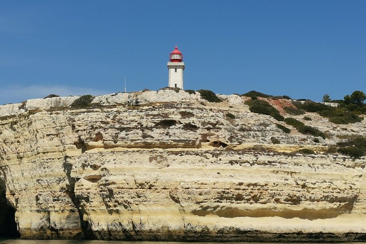 Passeio de barco de Albufeira para ver golfinhos e explorar as grutas de Benagil, foto 25 | wizardtrip