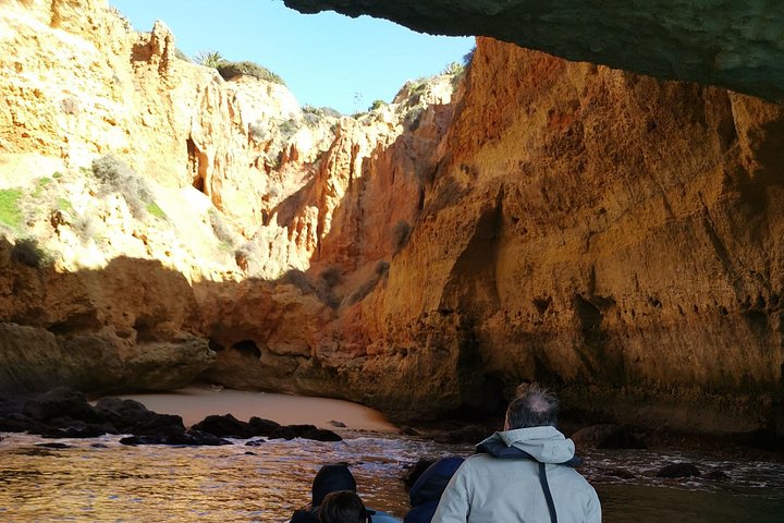 Passeio de barco de Albufeira para ver golfinhos e explorar as grutas de Benagil, foto 31 | wizardtrip