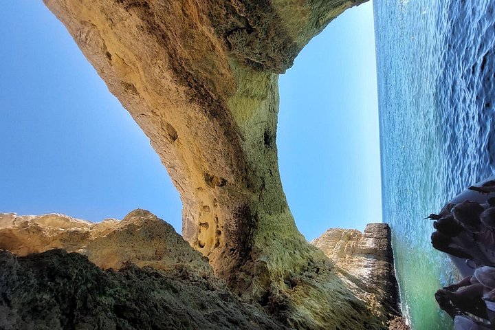 Passeio de barco de Albufeira para ver golfinhos e explorar as grutas de Benagil, foto 32 | wizardtrip