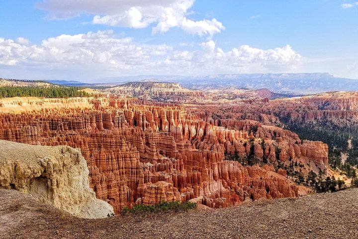Minitourbus-rondleiding door Bryce Canyon National Park, met unieke landschappen en geologie, foto 8 | wizardtrip