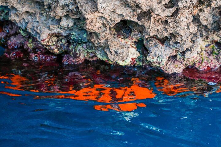 Båttur som utforskar Siciliens kust, inklusive Taormina och Isola Bella, foto 14 | wizardtrip