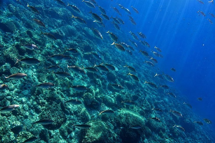Båttur som utforskar Siciliens kust, inklusive Taormina och Isola Bella, foto 23 | wizardtrip