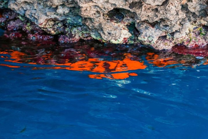Båttur som utforskar Siciliens kust, inklusive Taormina och Isola Bella, foto 26 | wizardtrip