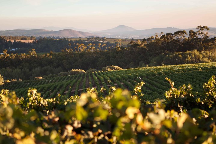 Privat heldagsvintur i Stellenbosch med afhentning og aflevering | wizardtrip