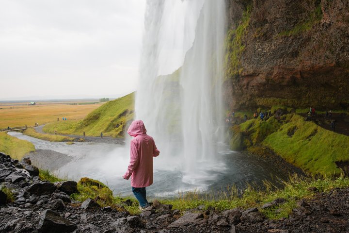 Excursion Côte Sud : Plage de Sable Noir & Cascades depuis Reykjavik | wizardtrip