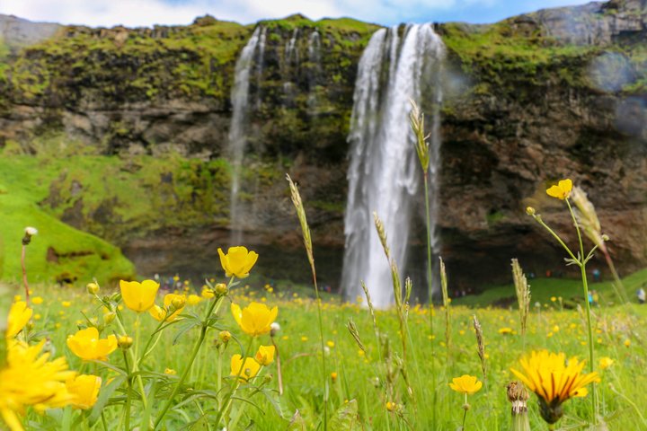 Vues panoramiques des cascades de la côte sud de l'Islande, des plages de sable noir et des glaciers, photo 15 | wizardtrip