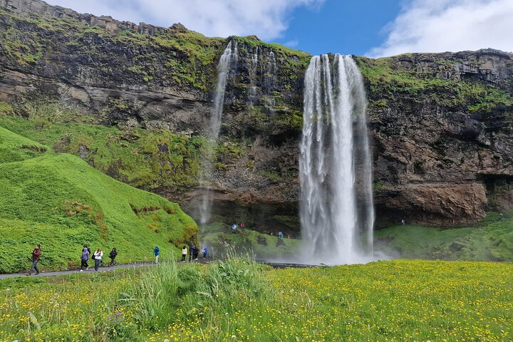 Vues panoramiques des cascades de la côte sud de l'Islande, des plages de sable noir et des glaciers, photo 19 | wizardtrip