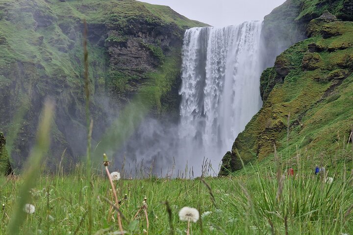 Vues panoramiques des cascades de la côte sud de l'Islande, des plages de sable noir et des glaciers, photo 20 | wizardtrip