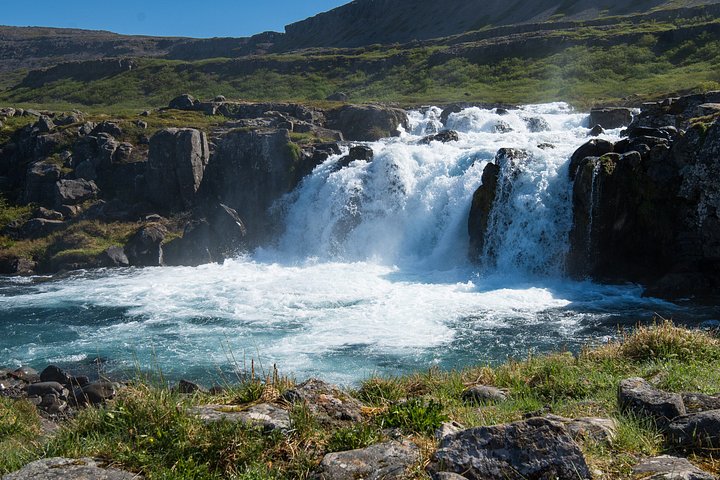 Passeio cénico para a cascata Dynjandi e uma quinta tradicional nos Westfjords da Islândia, foto 9 | wizardtrip