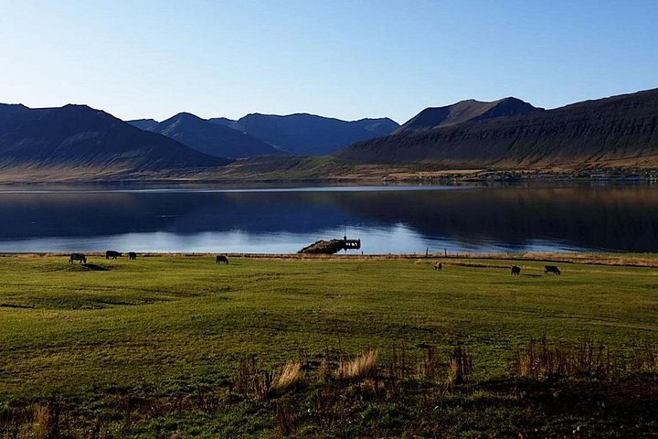 Passeio cénico para a cascata Dynjandi e uma quinta tradicional nos Westfjords da Islândia, foto 17 | wizardtrip