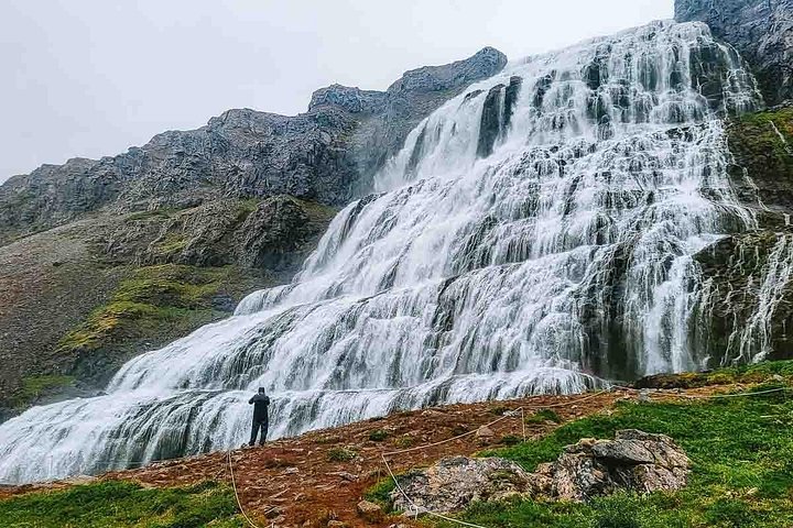 Passeio cénico para a cascata Dynjandi e uma quinta tradicional nos Westfjords da Islândia, foto 18 | wizardtrip