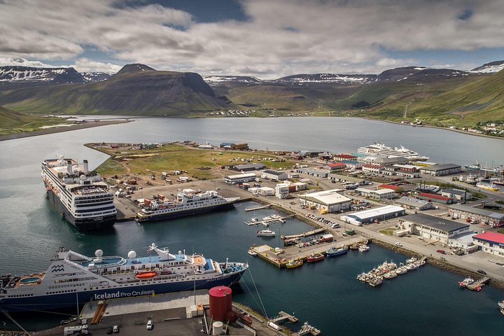Passeio cénico para a cascata Dynjandi e uma quinta tradicional nos Westfjords da Islândia, foto 19 | wizardtrip