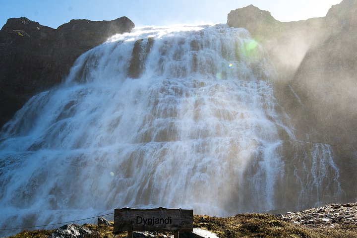 Passeio cénico para a cascata Dynjandi e uma quinta tradicional nos Westfjords da Islândia, foto 20 | wizardtrip
